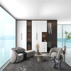 Wardrobe Doras Gloine Alúmanam